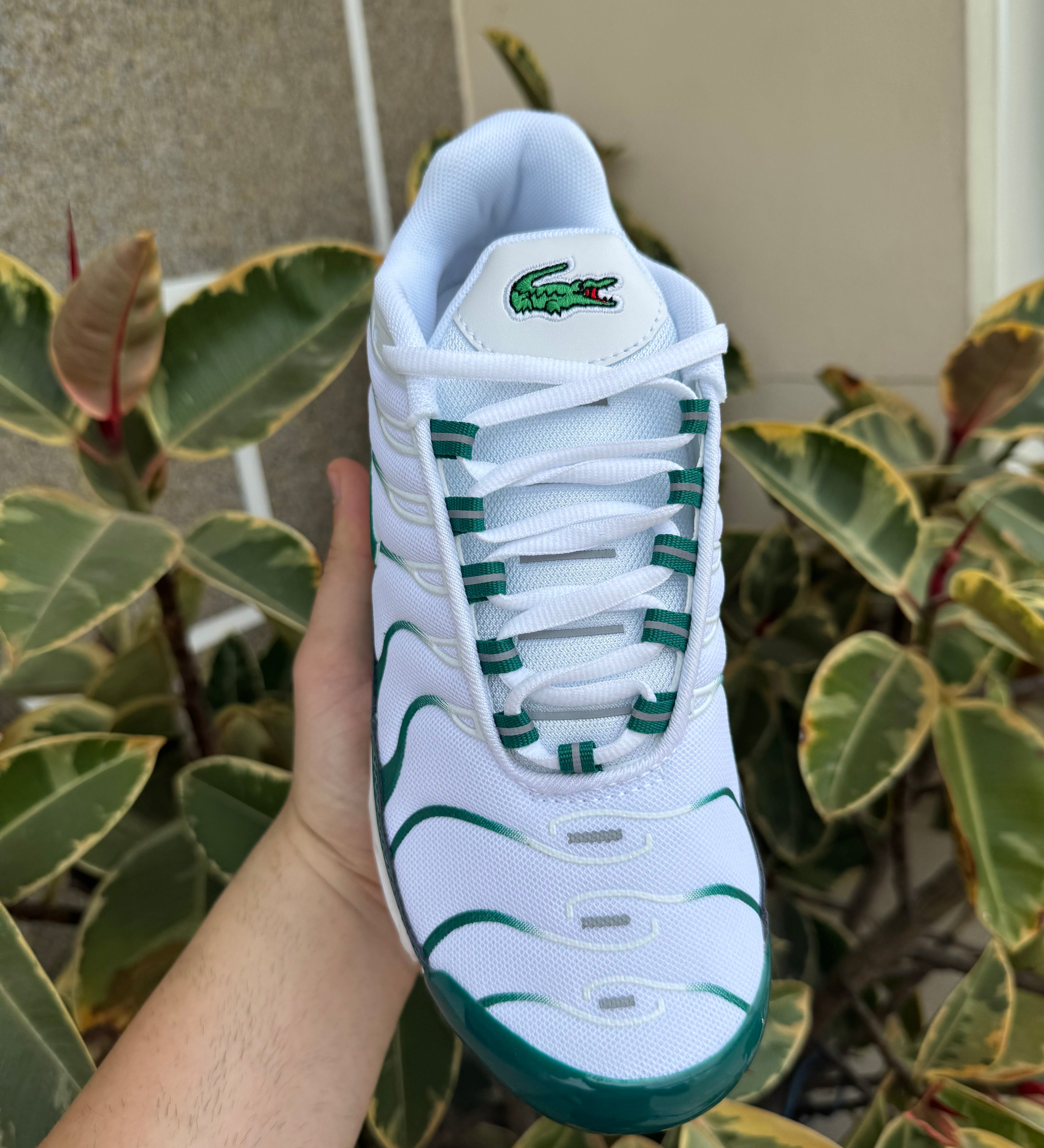 Tn Green and White