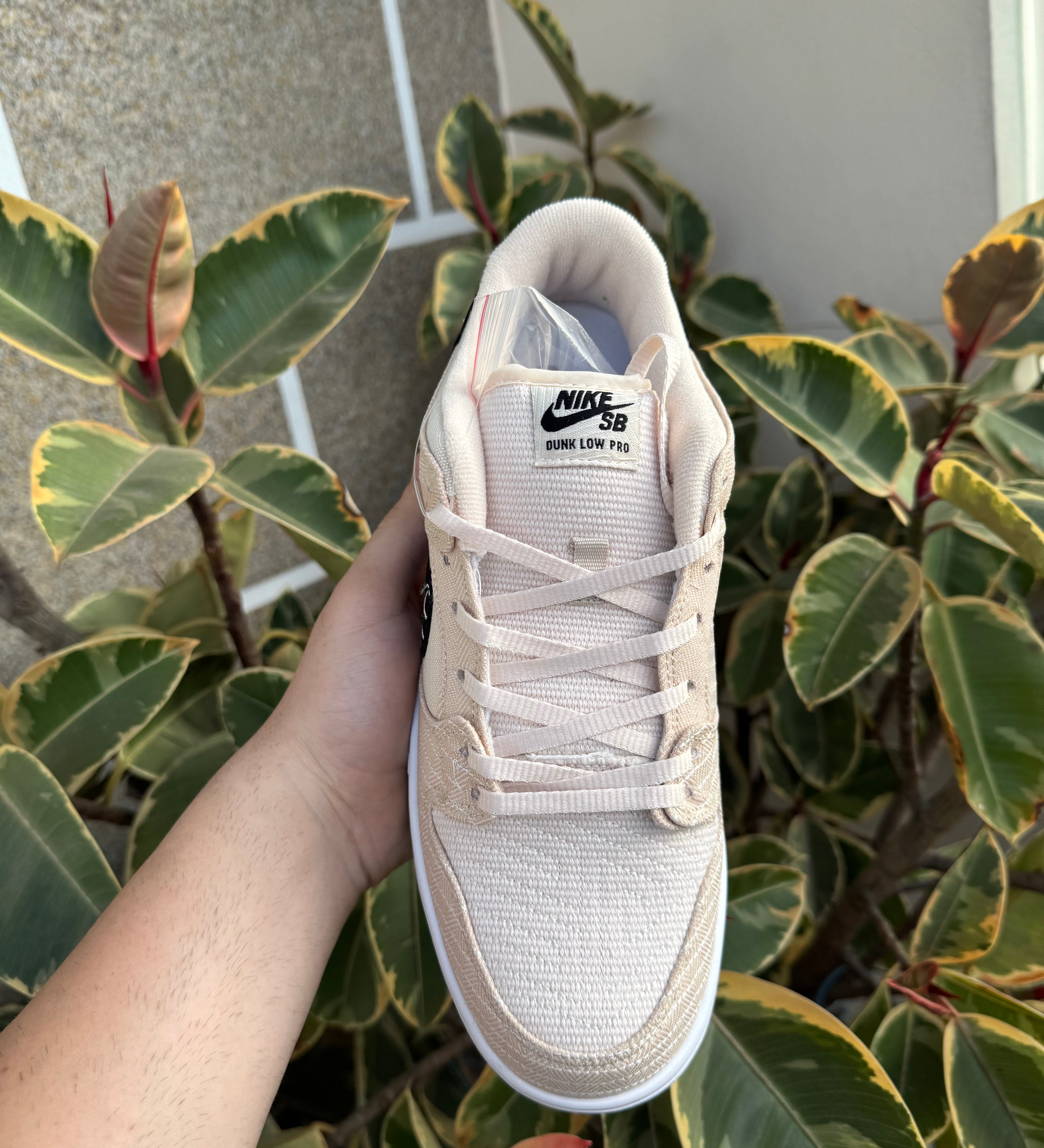 Low Albino