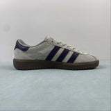 AD Bermuda Grey Purple