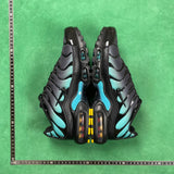 TN Black Dusty Cactus