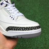 AJ3 Dark Iris