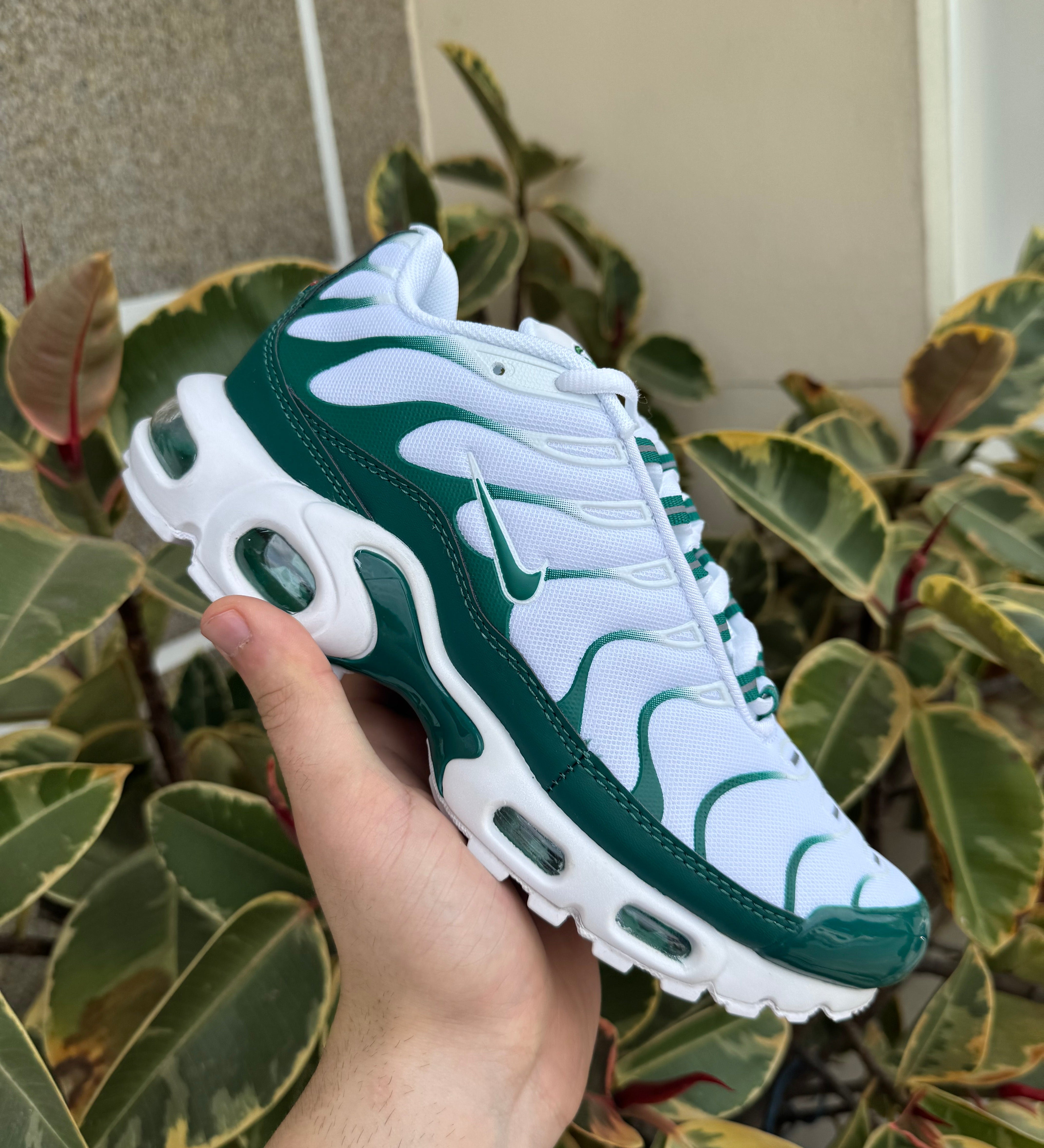 Tn Green and White