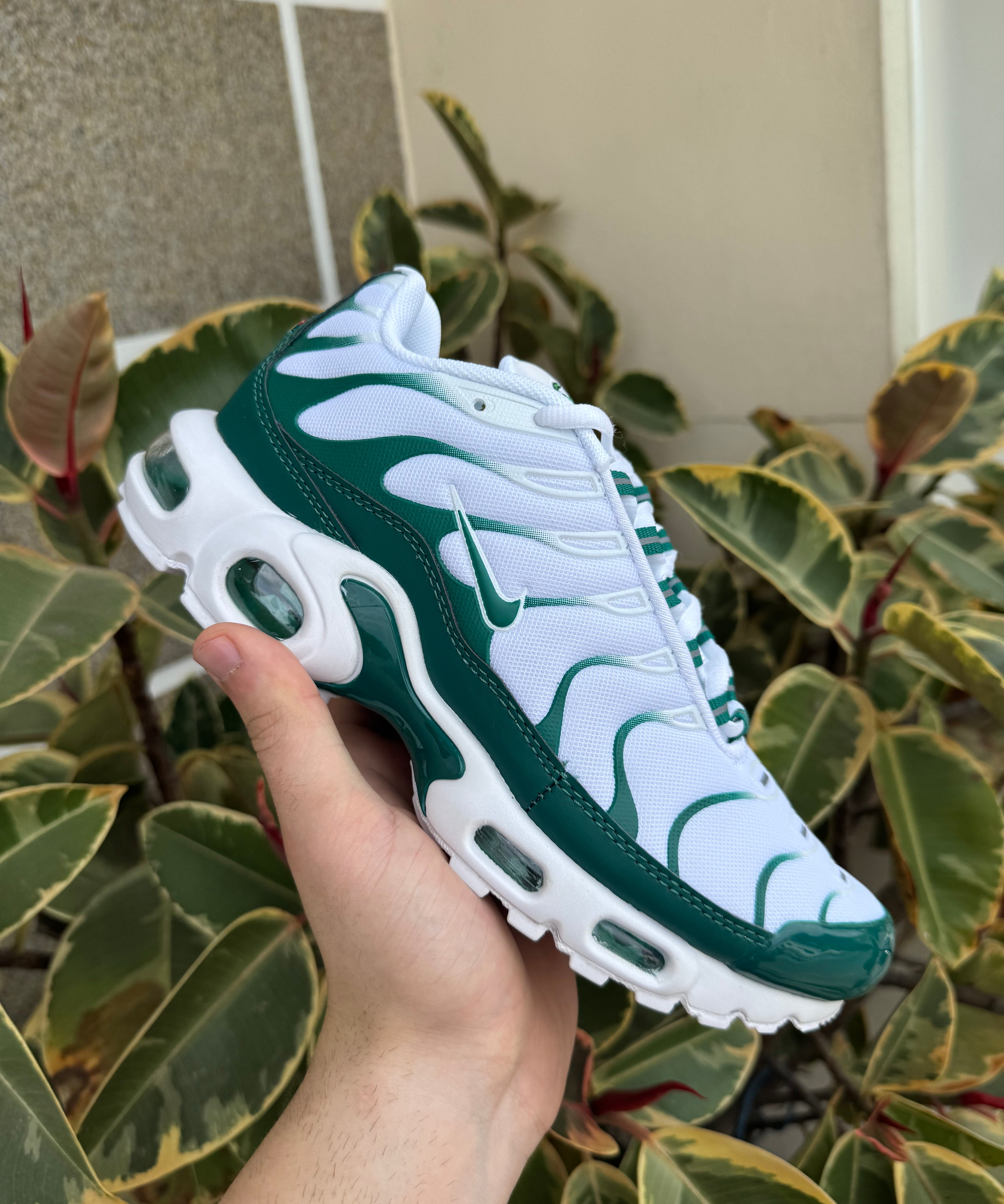 Tn Green and White