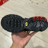 TN Dracula