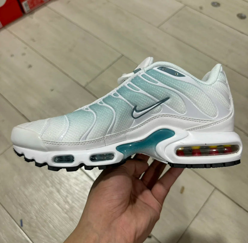 TN White and Green