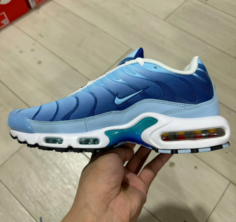 TN Blue