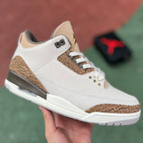 AJ3 Palomino