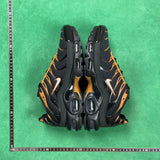 TN Black & University Gold