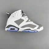 AJ6 Cool Grey