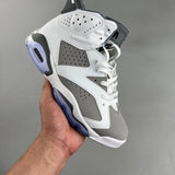 AJ6 Cool Grey