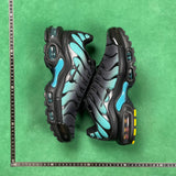 TN Black Dusty Cactus