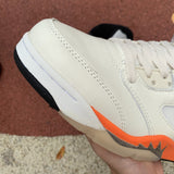 AJ 5 Shattered Backboard