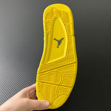 AJ4 Oregon Ducks Duckman