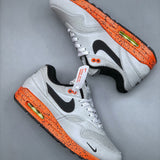 Air Max 1 Safari