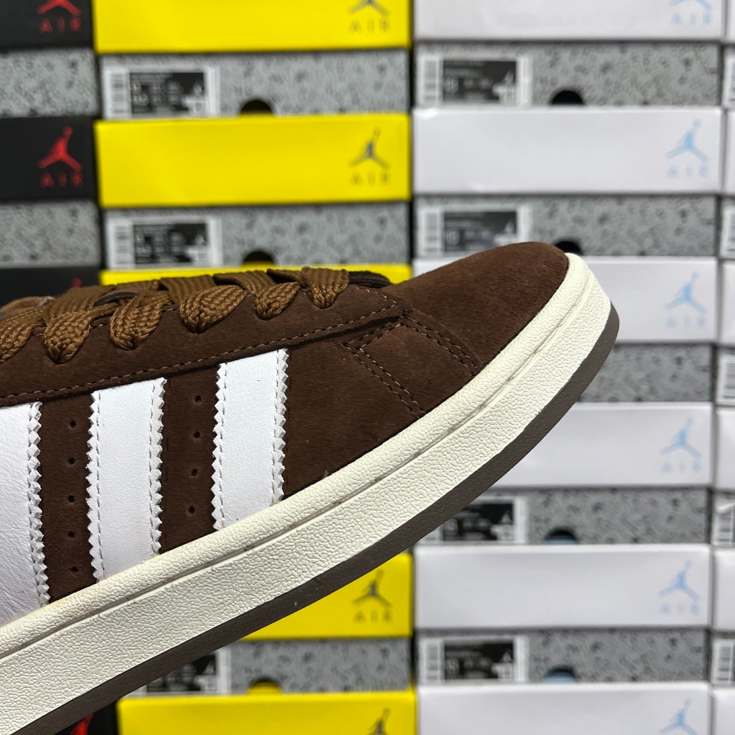 Campus Brown & White