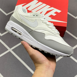 Air Max 1 Light Smoke Grey