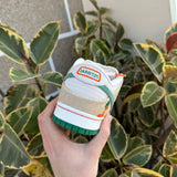 Dunk SB Jarritos