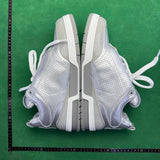 Skate Silver