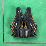 TN Black & University Gold