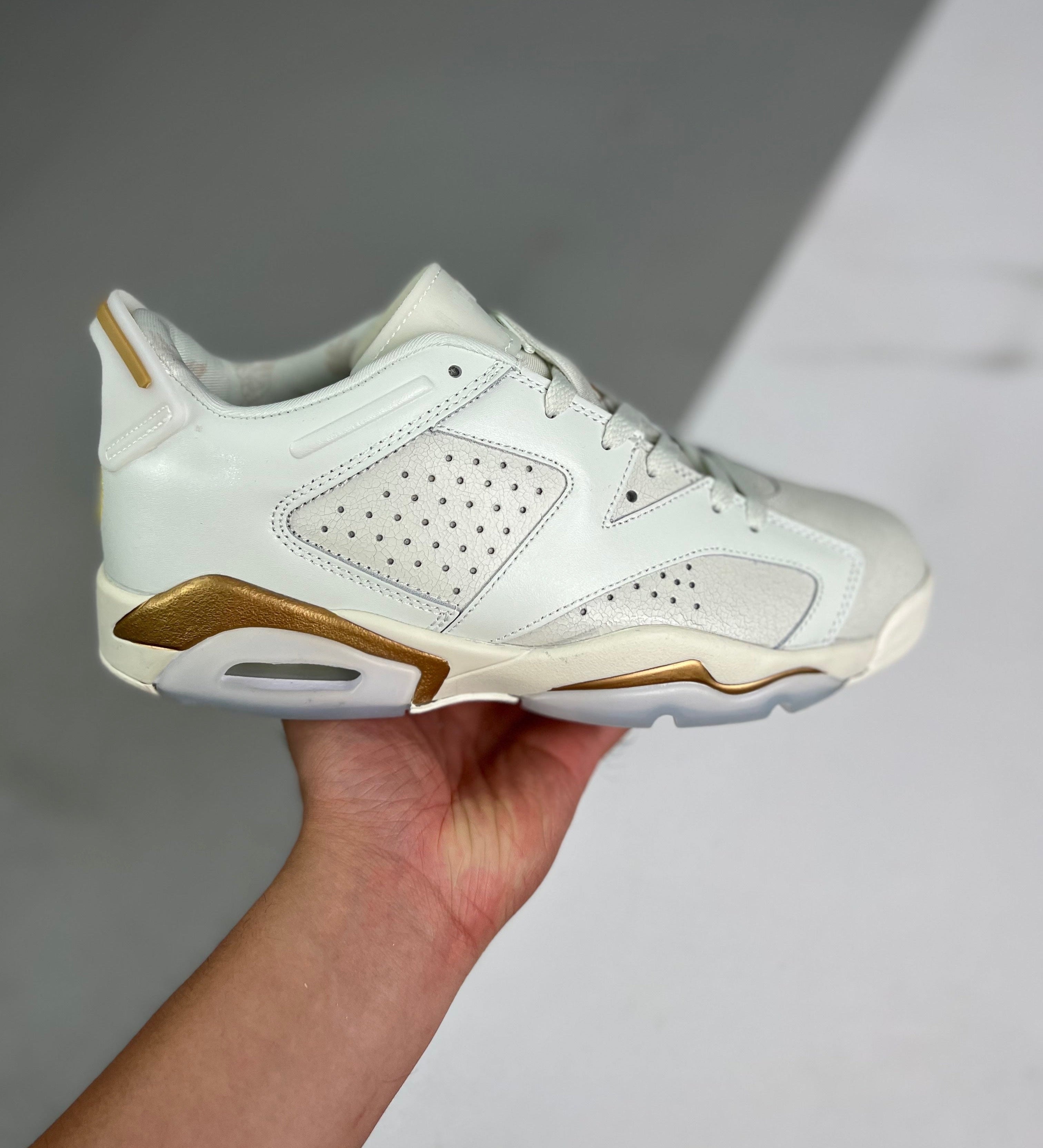 AJ6 Retro Low SE Dongda
