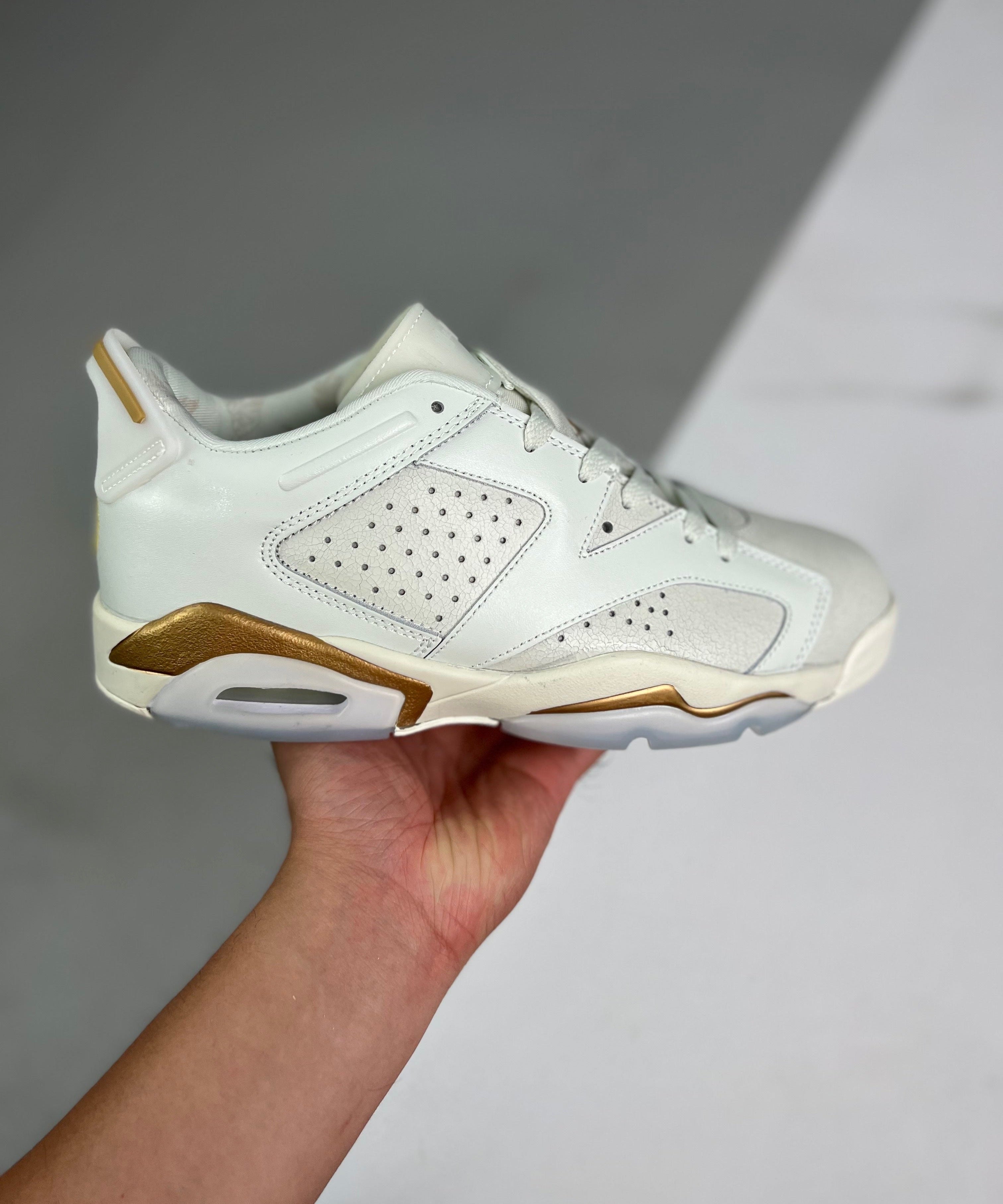 AJ6 Retro Low SE Dongda