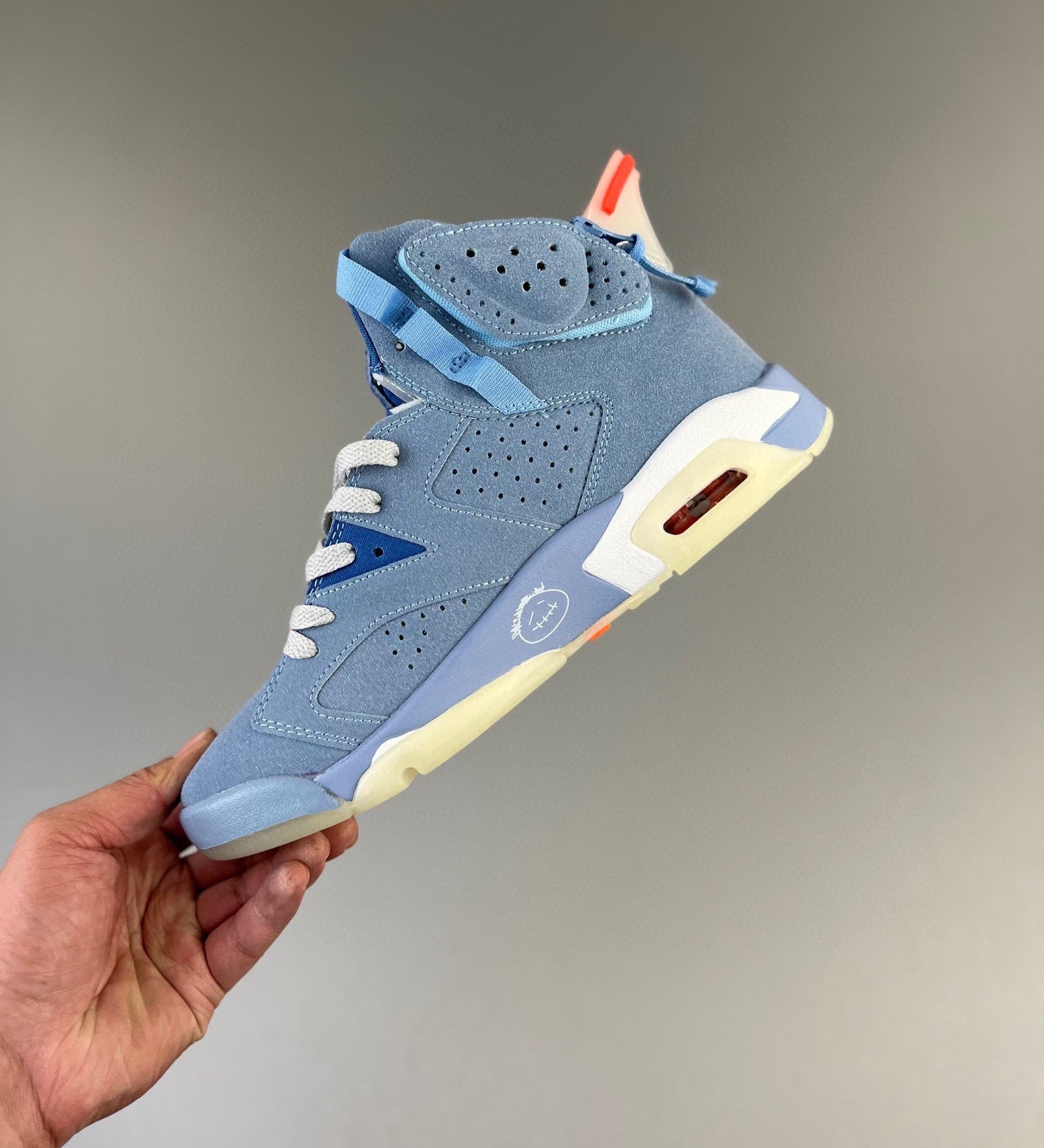 AJ6 Cactus Jack Blue
