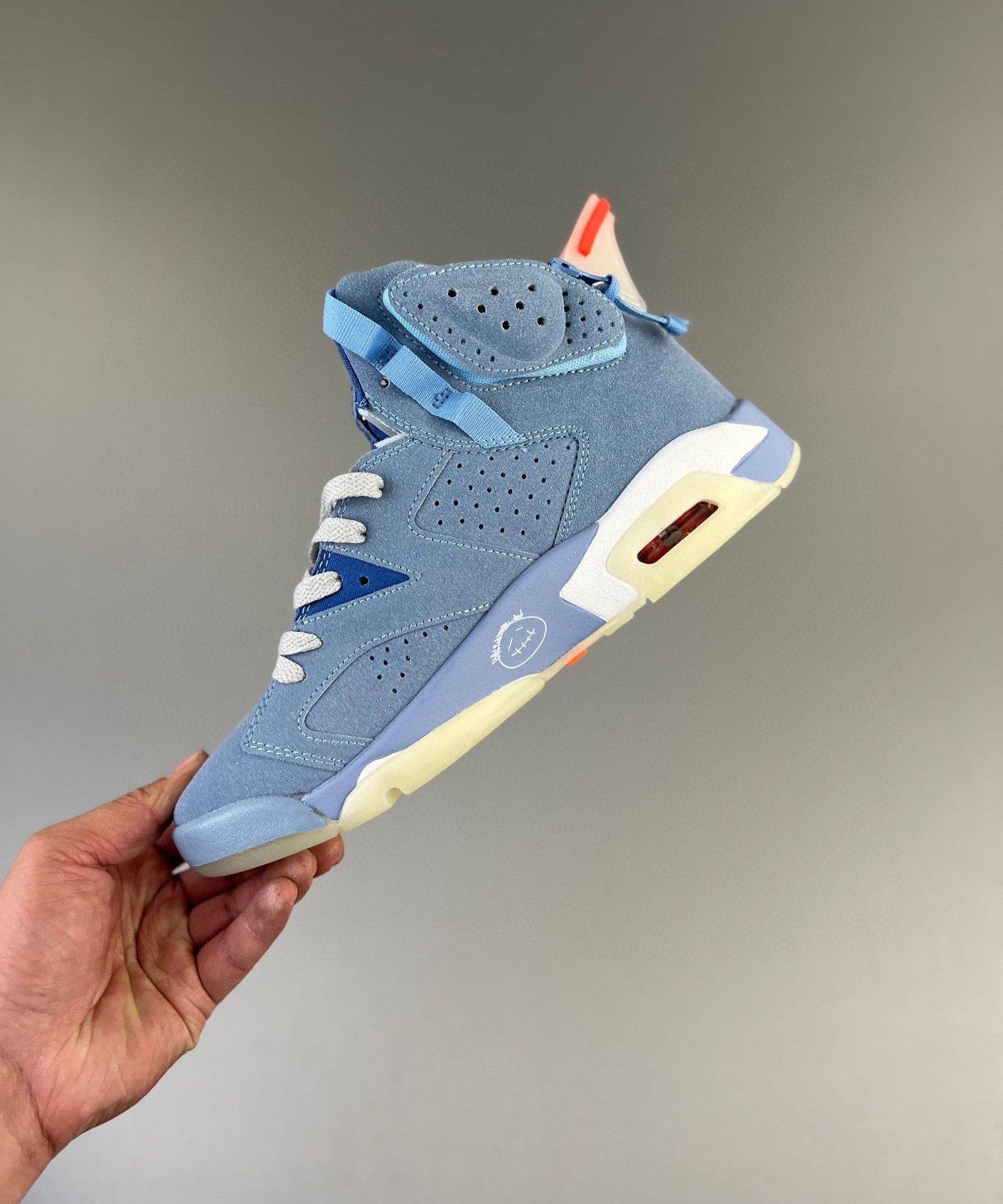 AJ6 Cactus Jack Blue