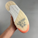 AJ 5 DJ Khaled We The Best