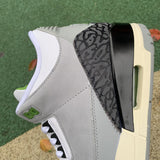 AJ3 Chlorophyll