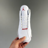 13 Wolf Grey