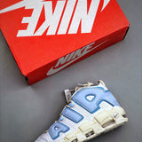 Uptempo Sail And Blue