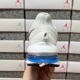 Pegasus Premium White/Blue