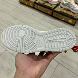 Dunk Low Off No.06